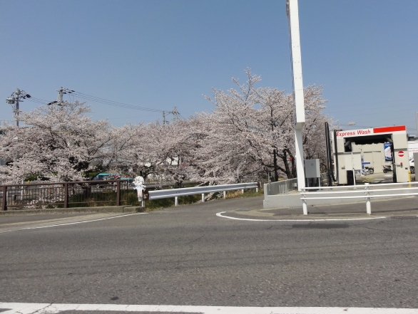 130330075.jpg