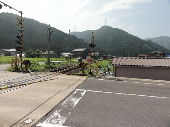 130728029.jpg