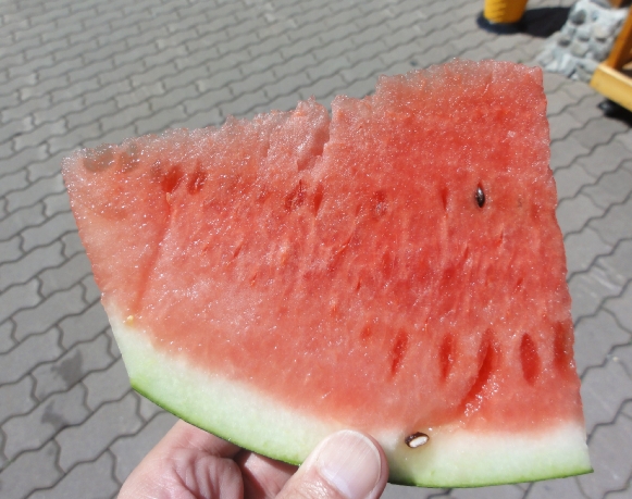 130811025.jpg