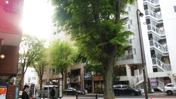 150425011.jpg