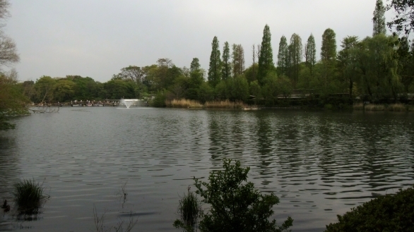 150425014.jpg