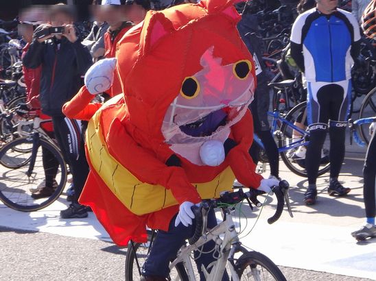 20141115c02.jpg