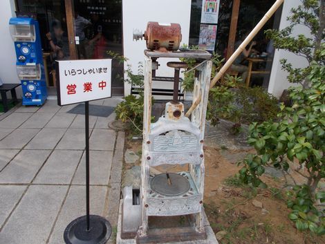 20170715016.JPG