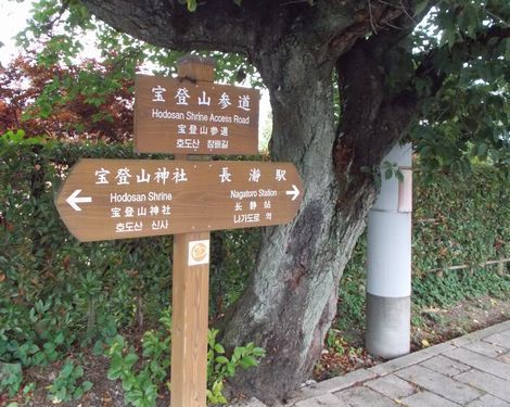 20170715026.JPG